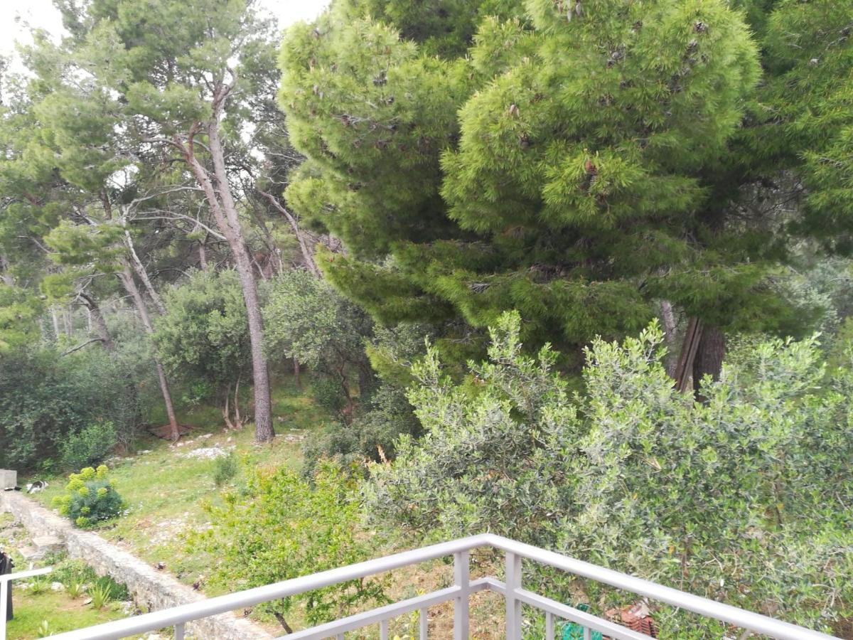 Domenico - 50 M From The Sea Apartment Seget Donji ภายนอก รูปภาพ