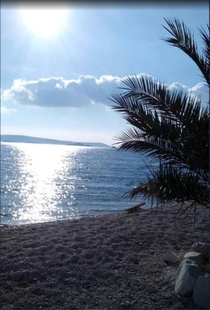 Domenico - 50 M From The Sea Apartment Seget Donji ภายนอก รูปภาพ