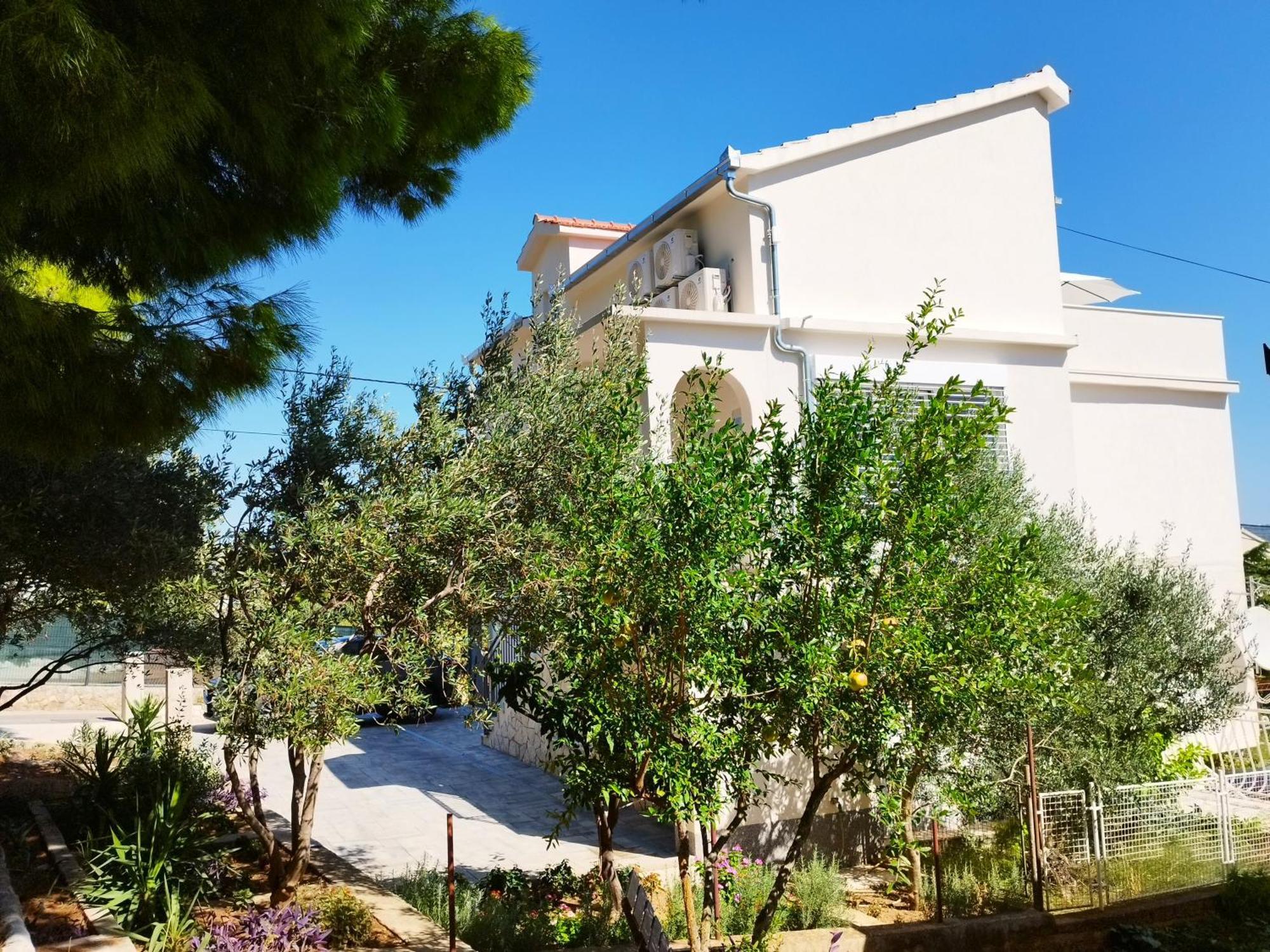 Domenico - 50 M From The Sea Apartment Seget Donji ภายนอก รูปภาพ